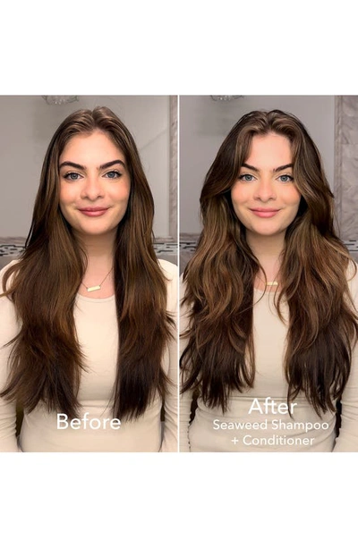 Bumble And Bumble Seaweed Shampoo 8.5 Oz.