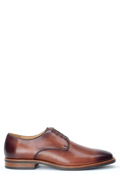 Warfield & Grand Hobbs Plain Toe Derby In Cognac