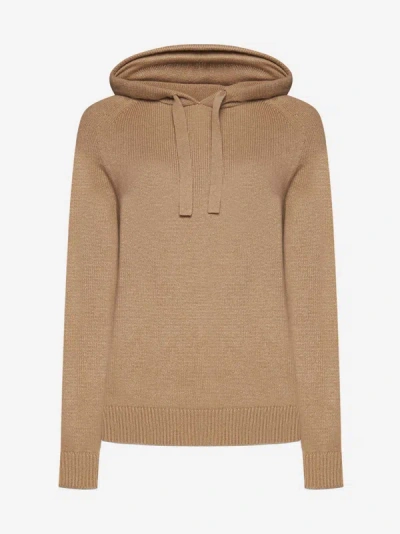Shop Max Mara S Virgola Cashmere Hooded Sweater In Camel