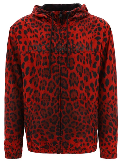 Shop Dolce & Gabbana "leopard" Windbreaker In Red