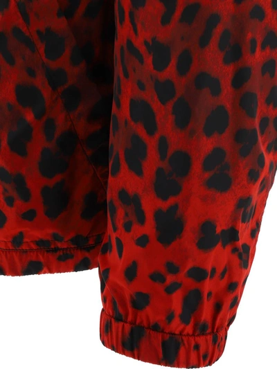 Shop Dolce & Gabbana "leopard" Windbreaker In Red