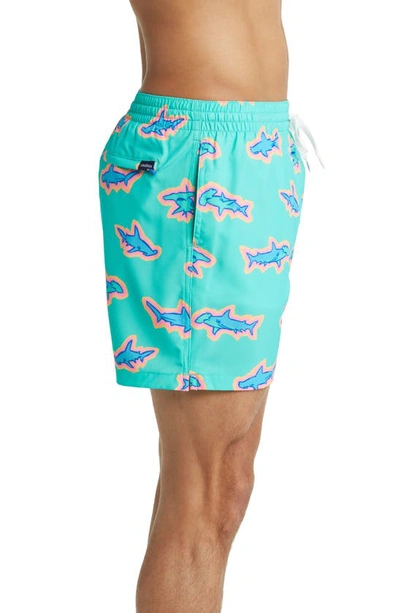 Shop Chubbies 5.5-inch Swim Trunks In Apex Swimmers