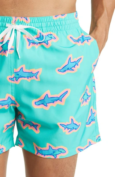 Shop Chubbies 5.5-inch Swim Trunks In Apex Swimmers