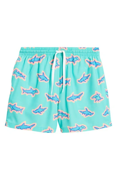 Shop Chubbies 5.5-inch Swim Trunks In Apex Swimmers
