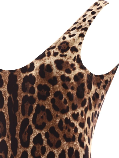 Shop Dolce & Gabbana Leopard-print One-piece Swimsuit In Brown