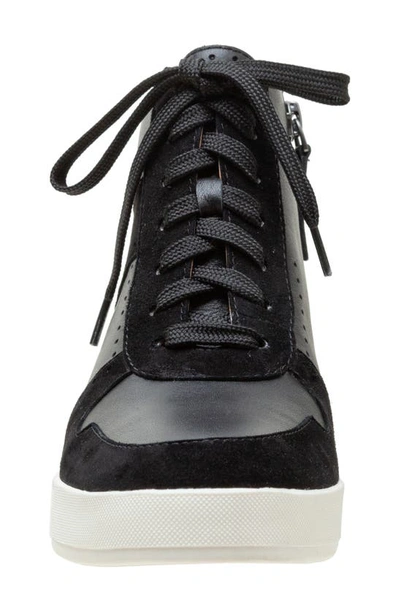 Linea Paolo Andres Mixed Media High Top Sneaker In Black