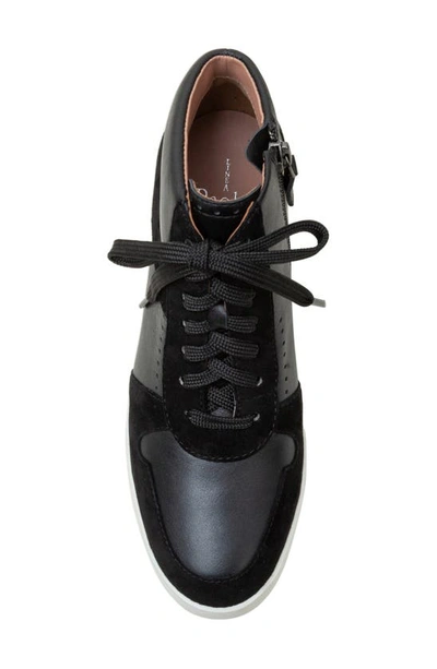 Shop Linea Paolo Andres Mixed Media High Top Sneaker In Black