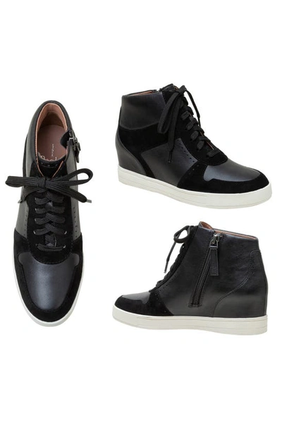 Shop Linea Paolo Andres Mixed Media High Top Sneaker In Black