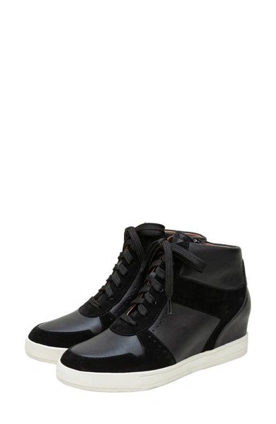 Shop Linea Paolo Andres Mixed Media High Top Sneaker In Black