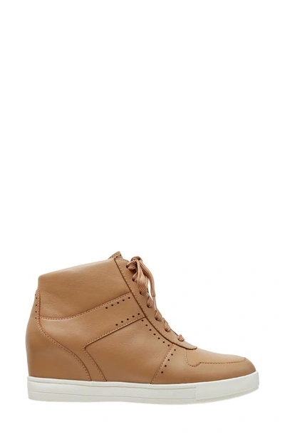 Linea Paolo Andres Mixed Media High Top Sneaker In Oak