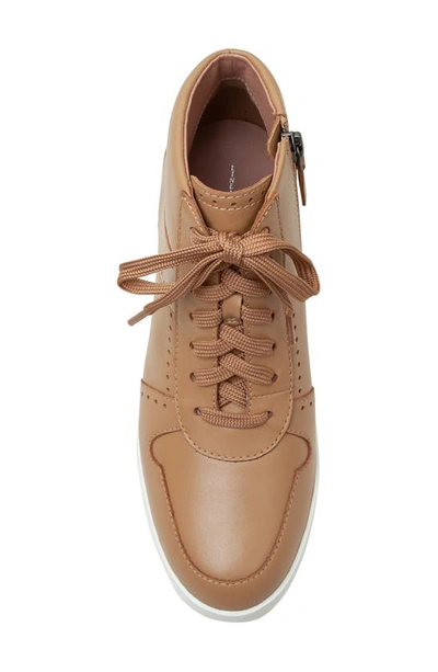 Linea Paolo Andres Mixed Media High Top Sneaker In Oak
