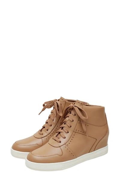 Shop Linea Paolo Andres Mixed Media High Top Sneaker In Oak