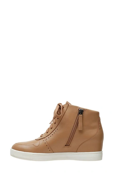 Linea Paolo Andres Mixed Media High Top Sneaker In Oak