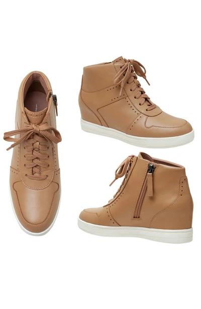 Shop Linea Paolo Andres Mixed Media High Top Sneaker In Oak