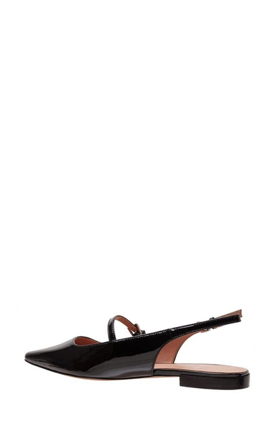 Linea Paolo Celeste Slingback Pointed Toe Flat In Black