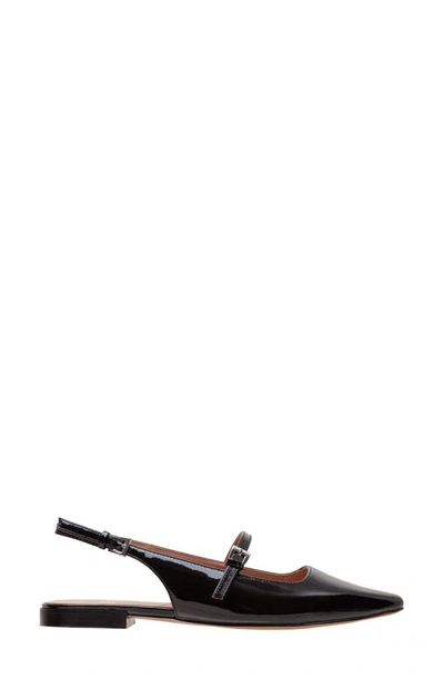 Linea Paolo Celeste Slingback Pointed Toe Flat In Black