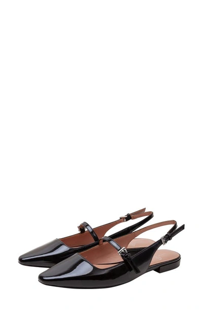 Linea Paolo Celeste Slingback Pointed Toe Flat In Black