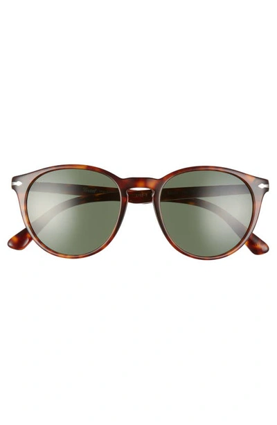 Shop Persol 52mm Round Sunglasses In Brown/ Green
