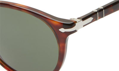 Shop Persol 52mm Round Sunglasses In Brown/ Green