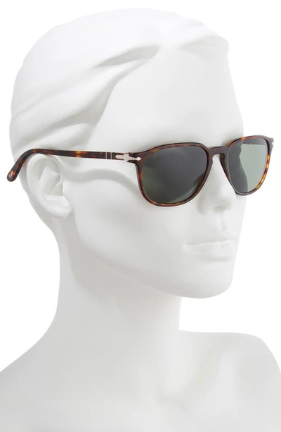 Shop Persol 55mm Square Sunglasses In Havana/ Green Solid