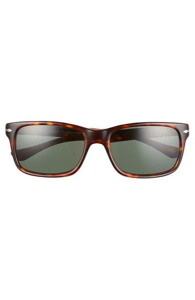 Shop Persol 58mm Rectangle Sunglasses In Havana/ Black Solid