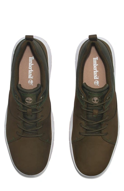 Shop Timberland Maple Grove Low Top Sneaker In Deep Lichen Green