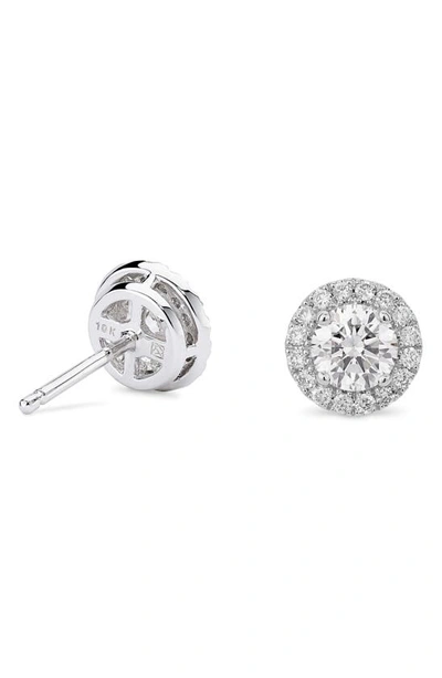 Shop Lightbox 1-carat Lab Grown Diamond Halo Stud Earrings In White/ 14k White Gold