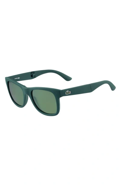 Shop Lacoste 52mm Foldable Retro Frame Sunglasses In Matte Green