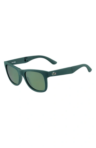 Lacoste 52mm Foldable Retro Frame Sunglasses In Matte Green