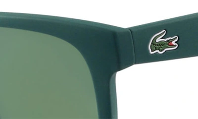 Shop Lacoste 52mm Foldable Retro Frame Sunglasses In Matte Green