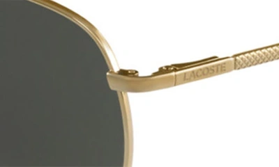 Shop Lacoste 57mm Aviator Sunglasses In Gold
