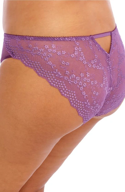 Shop Elomi Charley Full Figure Mesh & Lace Brazilian Briefs In Pansy