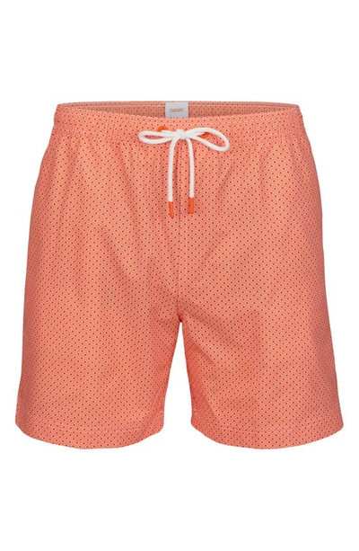 Shop Swims Fiordo Swim Trunks In  Orange