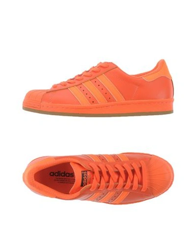 Adidas Originals Sneakers In Red