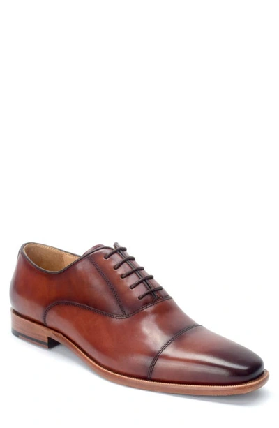 Shop Warfield & Grand Birch Oxford In Chestnut