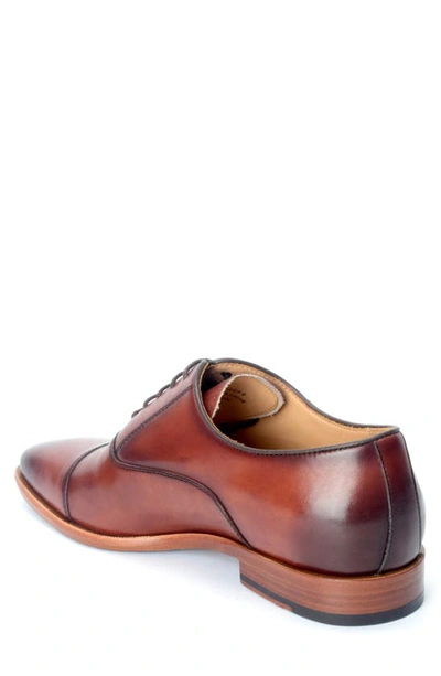 Shop Warfield & Grand Birch Oxford In Chestnut