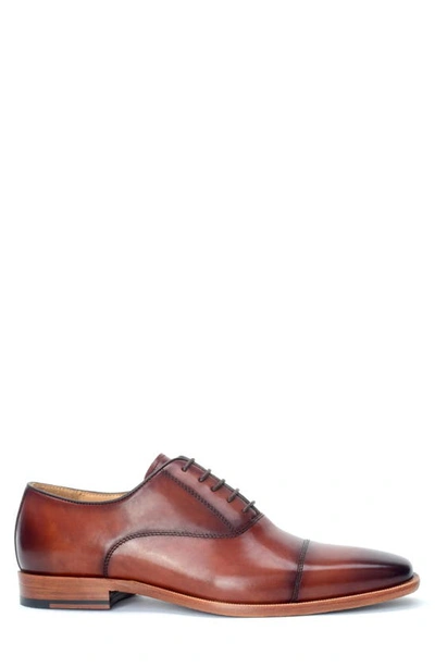 Shop Warfield & Grand Birch Oxford In Chestnut