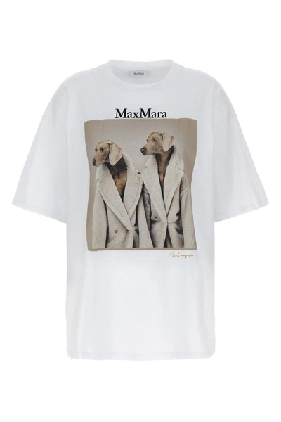 Shop Max Mara Tacco Wegman Print Cotton T-shirt In Bianco