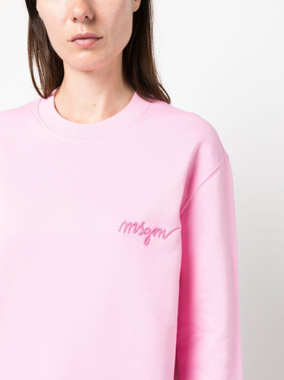 Shop Msgm Embroidered-logo Cotton Sweatshirt In Pink