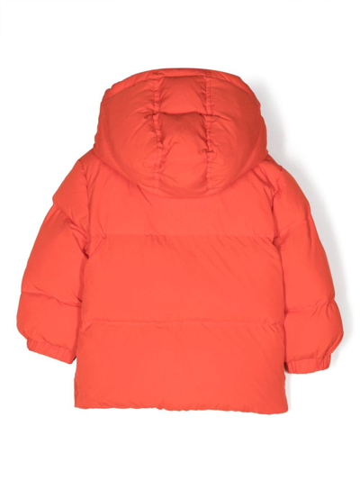 Shop Diesel Logo-patch Padded Jacket In Orange