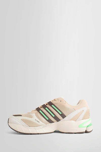 Shop Adidas Originals Man Beige Sneakers