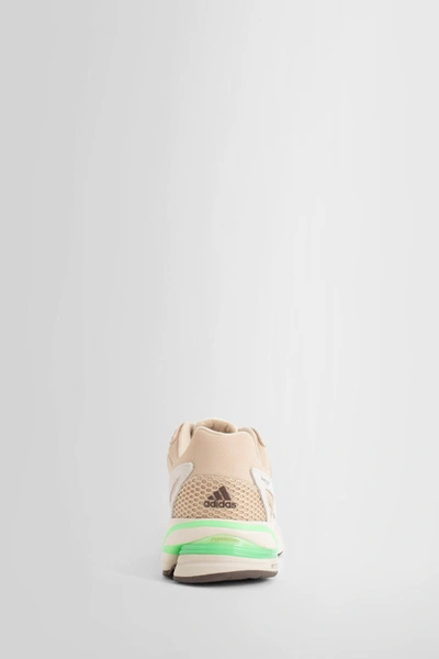 Shop Adidas Originals Man Beige Sneakers