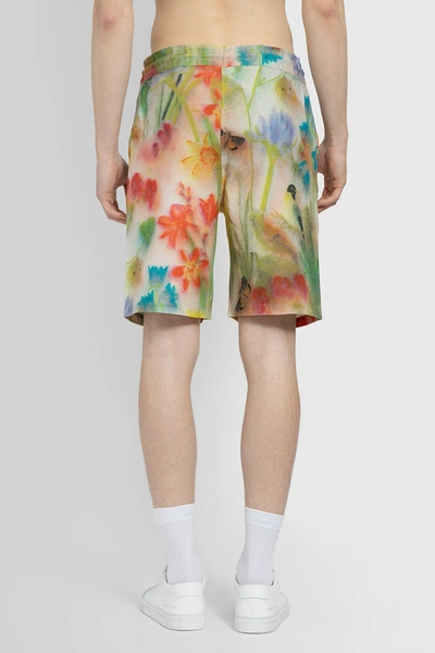 Shop Destin Man Multicolor Shorts