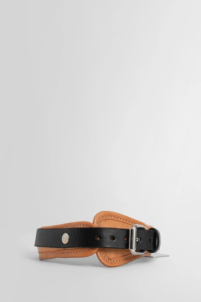 Shop Guidi Unisex Multicolor Dog Accessories