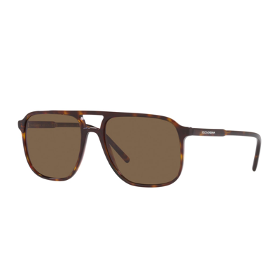 Shop Dolce &amp; Gabbana Eyewear Dg4423 502/73 Sunglasses In Marrone