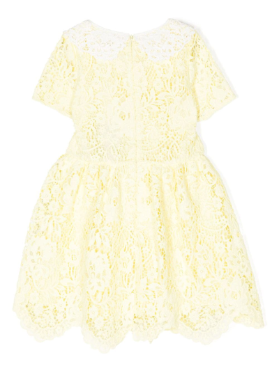 Shop Self-portrait Floral-lace Short-sleeve Dress In Yellow