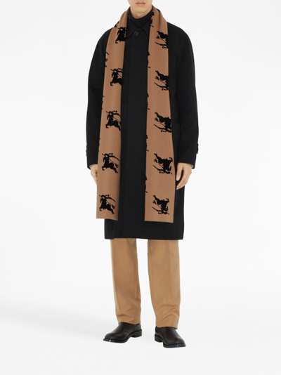 Shop Burberry Equestrian Knight-motif Jacquard Scarf In Brown