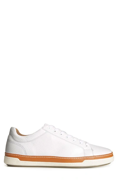 Shop Allen Edmonds Porter Sneaker In White
