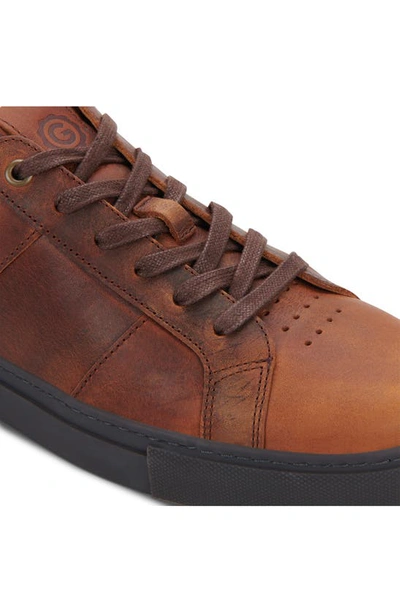 Shop Greats Royale Sneaker In Carmel Leather