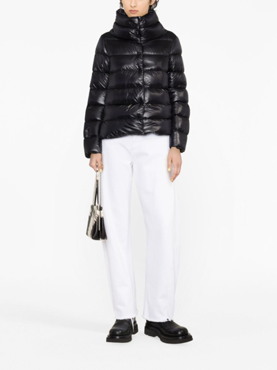 Shop Herno Padded Down Jacket In Black